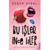 Bu İşler İnce İşler