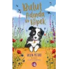 Bulut Adında Bir Köpek