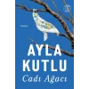 Cadı Ağacı