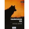 Camcının İti