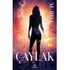 Çaylak