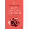 Çekim Yasasının Mucizeleri