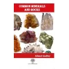 Common Minerals and Rocks