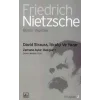 David Strauss, İtirafçı ve Yazar: Zamana Aykırı Bakışlar 1