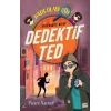 Dedektif Ted-Hadi, Olayı Çöz!