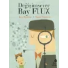 Değişimsever Bay Flux