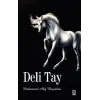 Deli Tay