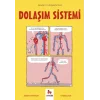 Dolaşım Sistemi - Gençler İçin Çizgilerle Bilim