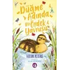 Düğme Adında Bir Ördek Yavrusu