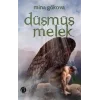 Düşmüş Melek