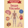 Eğitici Kartlar İnsan Vücudu