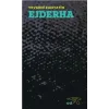 Ejderha
