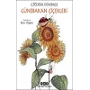 Günebakan Çiçekleri