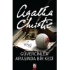 Güvercinler Arasında Bir Kedi