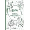 Harry Potter Sihirli Yaratıklar Boyama Kitabı