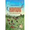 Havada Doğa Koleksiyonum