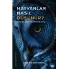 Hayvanlar Nasıl Düşünür?