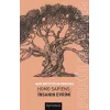 Homo Sapiens: İnsanın Evrimi