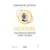 Husserl Fenomenolojisinde Görü Teorisi