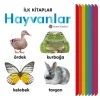 İlk Kitaplar - Hayvanlar (Ciltli)