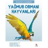 İlk Sorular ve Cevaplarla - Yağmur Ormanı Hayvanları