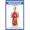 İnsan Fizyoolojisi