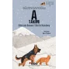 İz Sürücü Köpekler – 8 - A Takımı - Sibiryalı Kurnaz Tilki İle Karabey