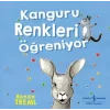Kanguru Renkleri Öğreniyor