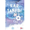 Kar Tanesi