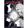 Kara Paradoks (Bez Cilt)