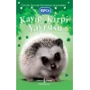 Kayıp Kirpi Yavrusu