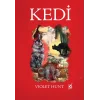 Kedi