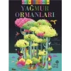 Keşfediyorum - Yağmur Ormanları