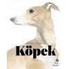 Köpek Kitabı: Resim Sanatında Köpekler