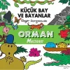 Küçük Bay Ve Bayanlar Orman Macerası