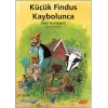 Küçük Findus Kaybolunca