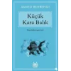 Küçük Kara Balık
