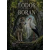 Lodos İle Boran