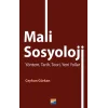 Mali Sosyoloji Yöntem, Tarih, Teori, Yeni Yollar