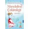 Mandalina Çekirdeği
