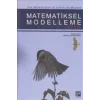 Matematiksel Modelleme