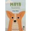 Maya - Sokaklardan Barınağa ve Sonunda Bir Yuvaya