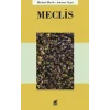 Meclis