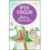 Mektup Arkadaşları