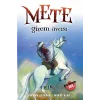 Mete - Gizem Avcısı