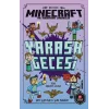 Minecraft - Yarasa Gecesi
