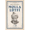 Molla Lütfi