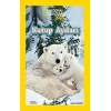 National Geographic Kids Kutup Ayıları