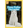 National Geographic Kids - Kuzey Kutbu Hayvanları