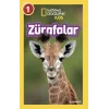 National Geographic Kids - Zürafalar
